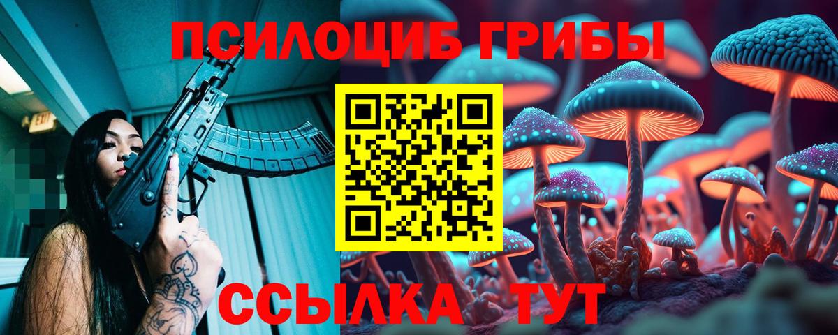 Черногорск  Псилоцибиновые грибы мухоморы  Вход с VPN 